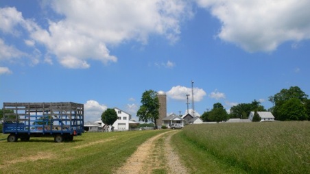 Enlarge photo 32