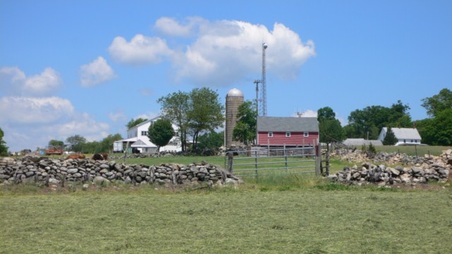 Enlarge photo 33