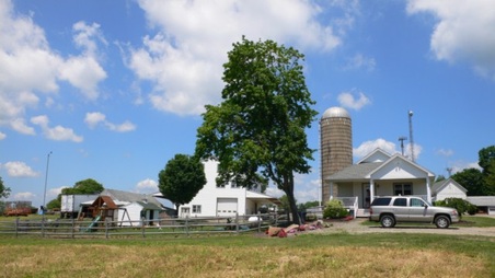 Enlarge photo 34
