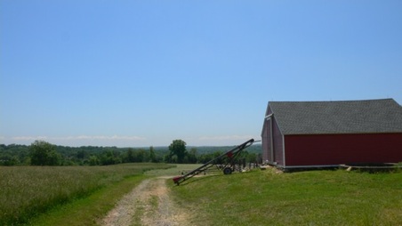 Enlarge photo 35