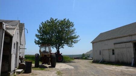 Enlarge photo 24