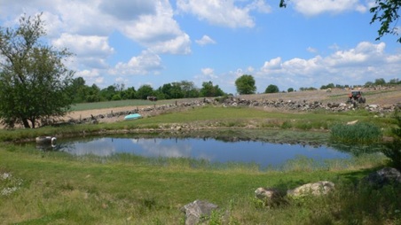 Enlarge photo 20