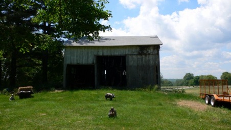 Enlarge photo 17