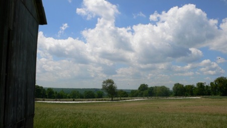 Enlarge photo 16