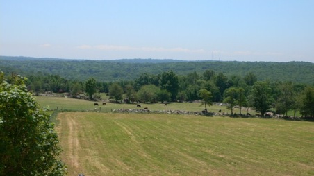 Enlarge photo 11
