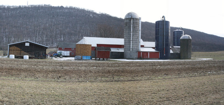 Enlarge photo 21