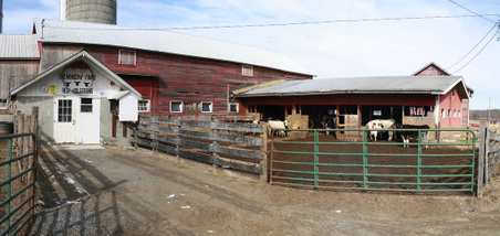 Enlarge photo 26