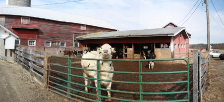 Enlarge photo 27