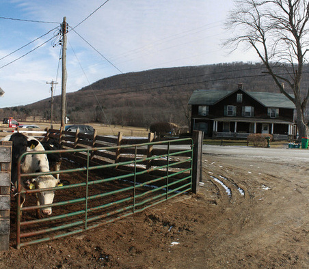 Enlarge photo 28