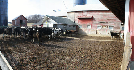 Enlarge photo 29