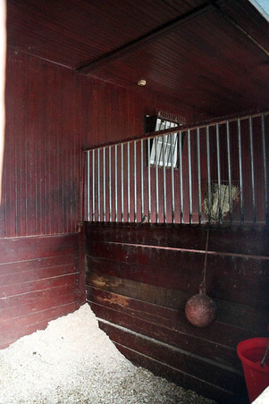 Enlarge photo 9