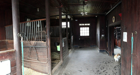 Enlarge photo 10