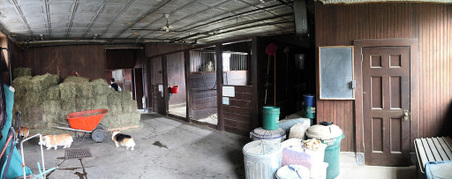 Enlarge photo 12