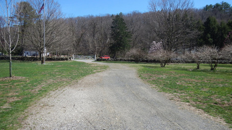Enlarge photo 5