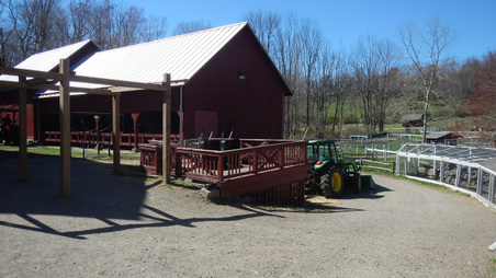 Enlarge photo 37