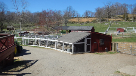 Enlarge photo 38