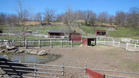 Enlarge photo 40