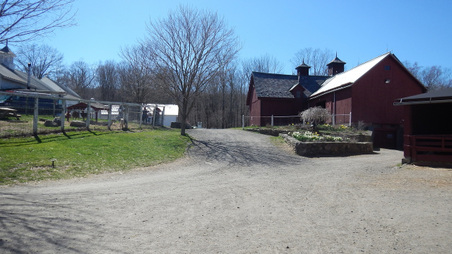 Enlarge photo 41