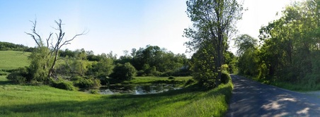 Enlarge photo 21