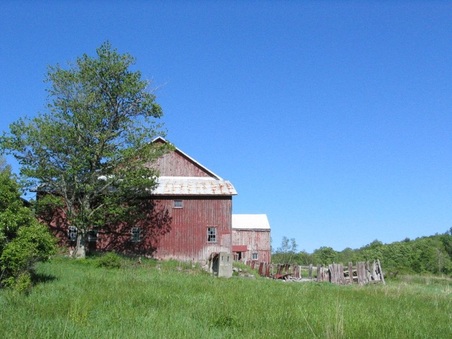 Enlarge photo 22
