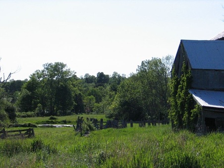 Enlarge photo 34