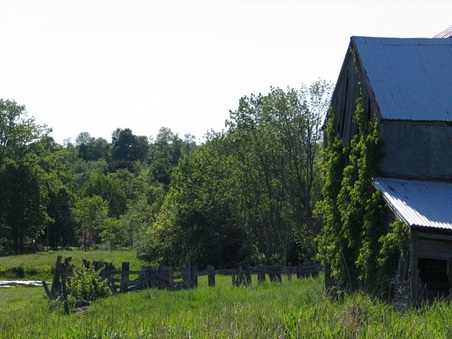 Enlarge photo 35