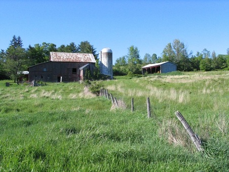 Enlarge photo 37