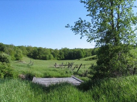Enlarge photo 39