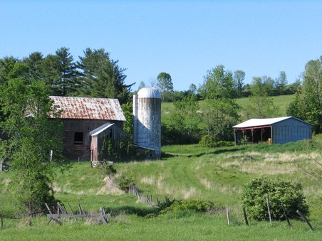 Enlarge photo 42