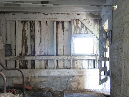 Enlarge photo 46