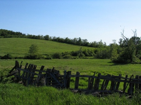 Enlarge photo 47