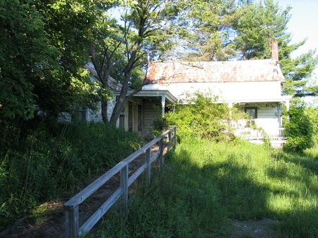 Enlarge photo 55