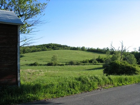 Enlarge photo 56