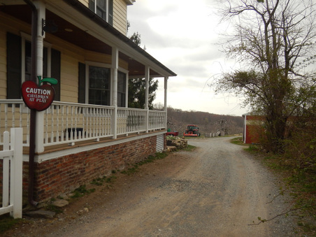 Enlarge photo 5