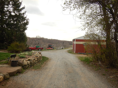 Enlarge photo 7