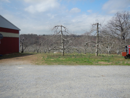 Enlarge photo 29