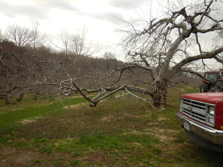 Enlarge photo 33