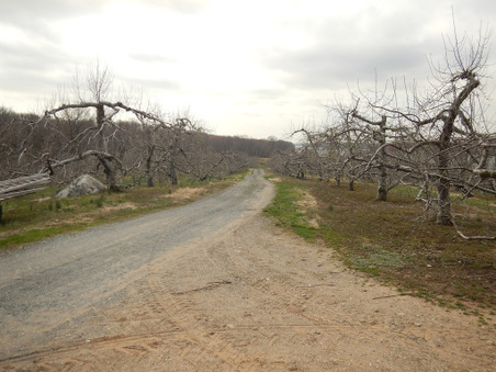 Enlarge photo 34