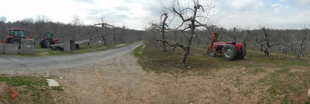 Enlarge photo 35