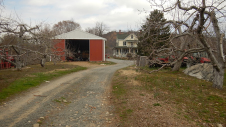 Enlarge photo 38