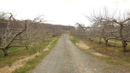 Enlarge photo 39