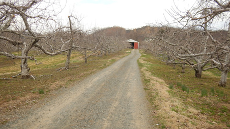 Enlarge photo 40