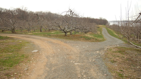 Enlarge photo 42