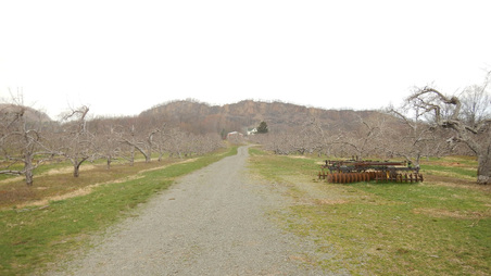 Enlarge photo 43