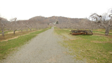 Enlarge photo 44