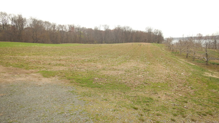 Enlarge photo 45