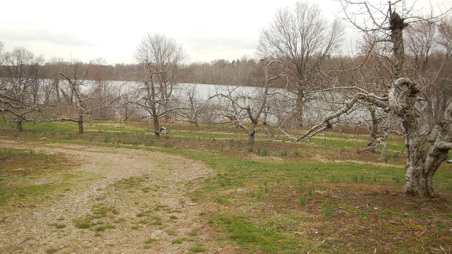 Enlarge photo 46