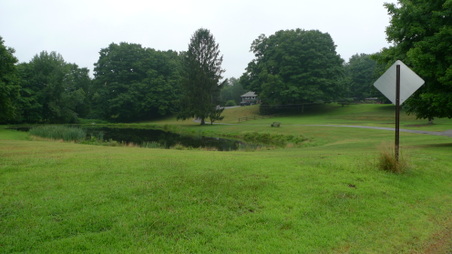 Enlarge photo 40