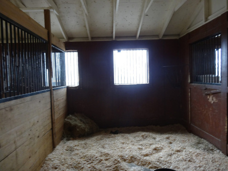Enlarge photo 15