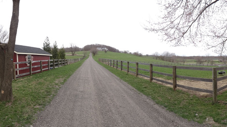 Enlarge photo 20